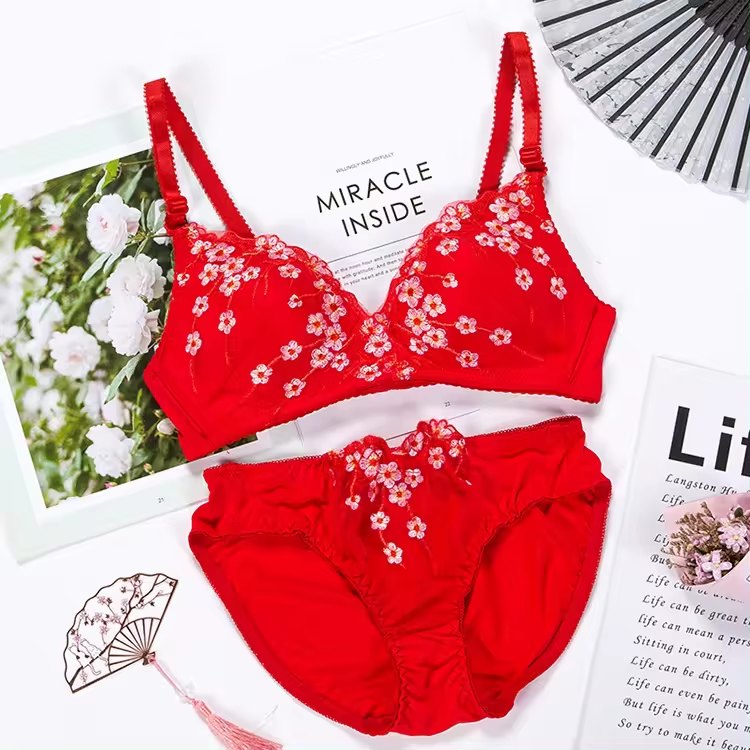 Combo Of 6 Bra & Panties Set Imported