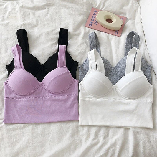 Combo Of 6 Bra & Panties Set Imported